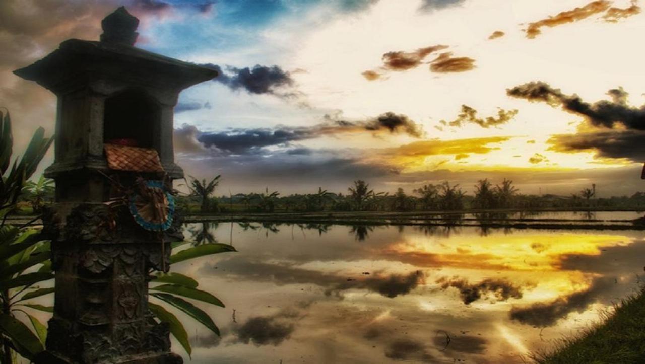 Pnb Bali Villas Canggu Exterior foto